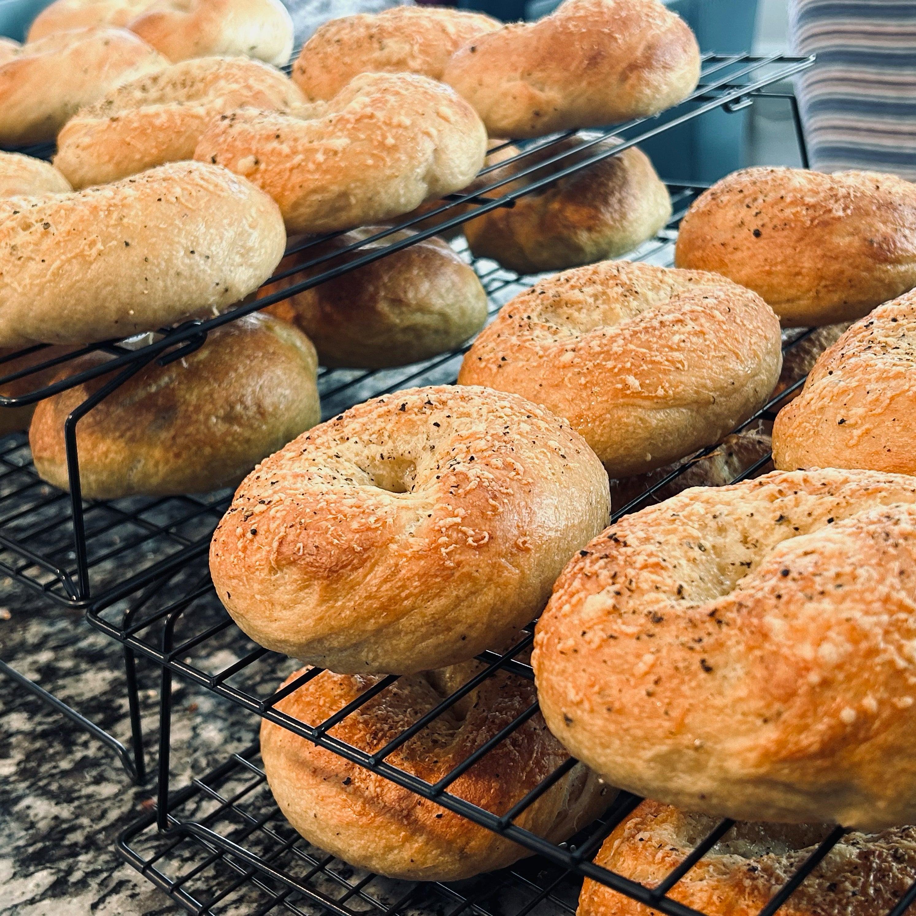 Cacio e Pepe bagels cooling on a rack