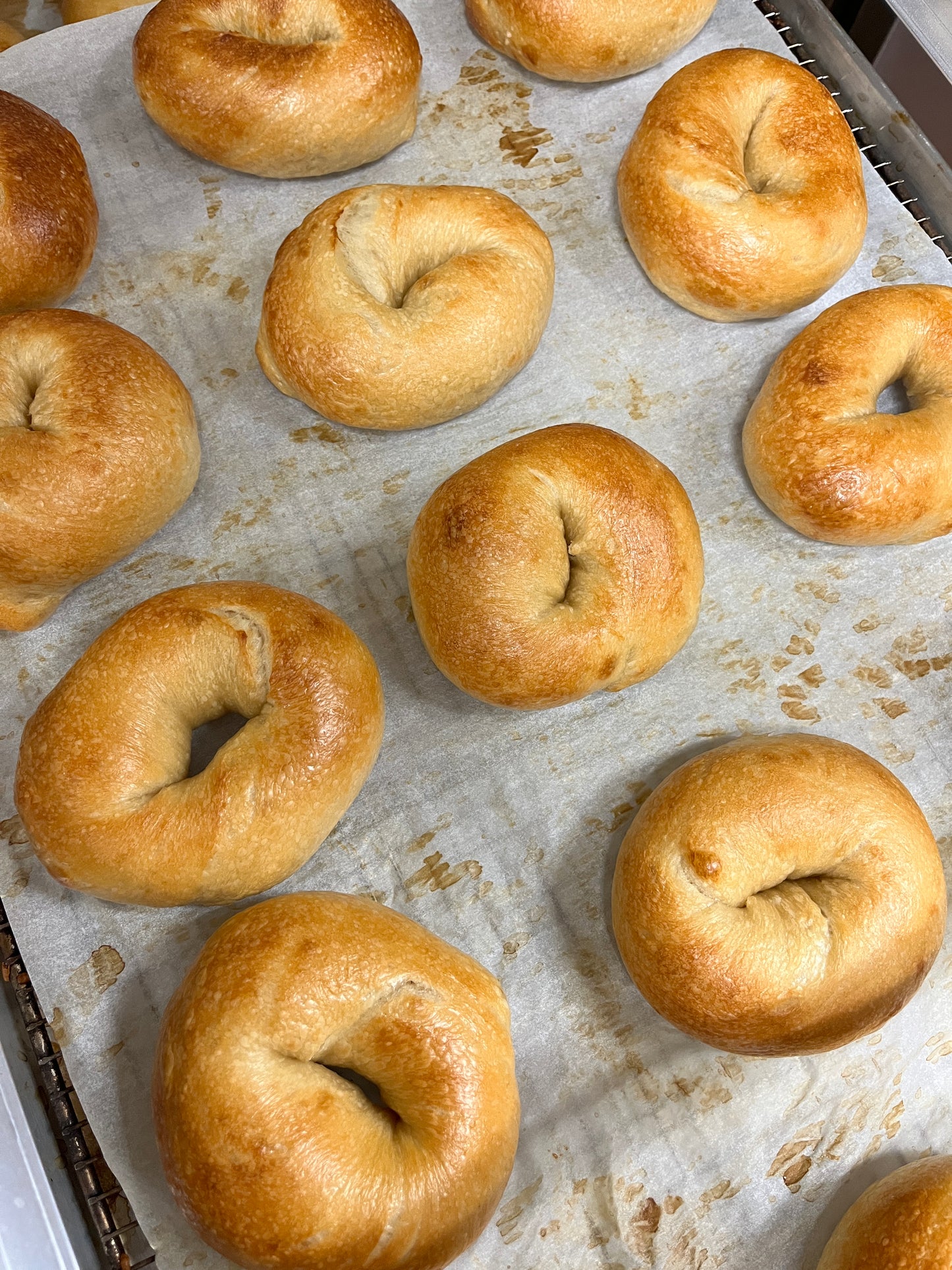 SAT 1/4: bagels at The Briar